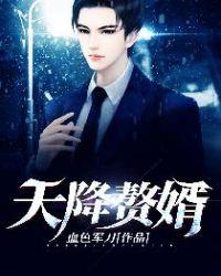 有声天降赘婿