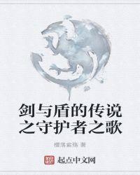 盾之守护者动漫
