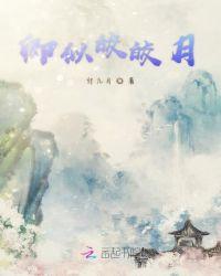皎皎似月作者的