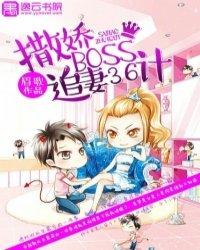 撒娇boss追妻36计完整版