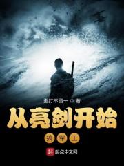 从亮剑开始搞军工免费阅读