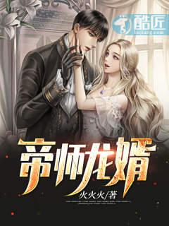 帝师龙婿13集