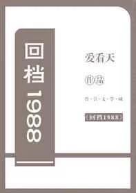 回档1988txt免费
