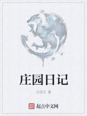 庄园日记中文版