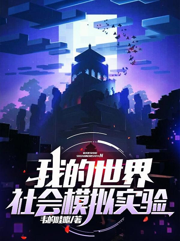 我的世界社会模拟实验合集
