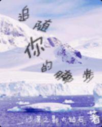 歌词追随你的脚步