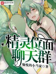 精灵位面聊天群笔趣阁