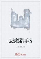 恶魔猎手是穿锁甲吗