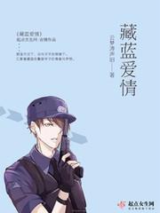 藏蓝象征什么