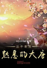 这不是我熟悉的大唐文明