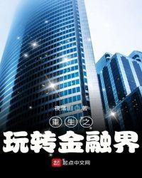 重生之玩转金融界 夜落田