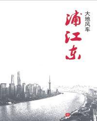 浦江东旭公寓红房子事件