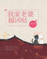 我老婆超凶小游戏