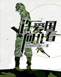 许爱国向北看男主是谁