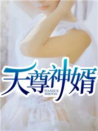 天尊贵婿