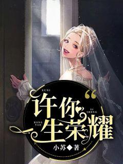霍时枭我们离婚吧免费