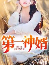 第一神婿全集