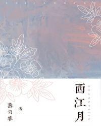 西江月井冈山诗词课件