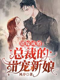 秦舒褚临沉免费全文笔完结