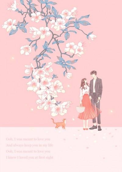 云初初墨连城免费阅读名叫什么?