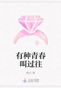有种青春叫过往是什么歌