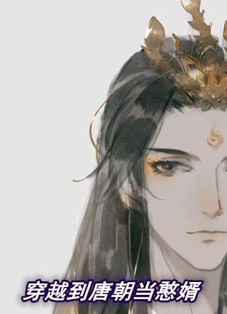 穿越到大唐做憨婿