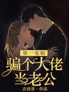 慕晴夜君博士全文免费阅读