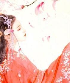毒后全文免费阅读