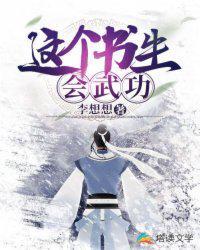 这个书生会武功锦娘