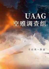 uaag空难调查组车在哪章