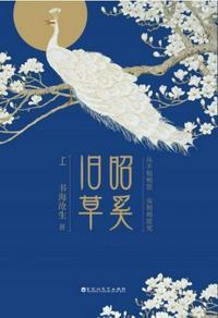 昭奚旧草番外三百年日常