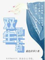双生劫花絮