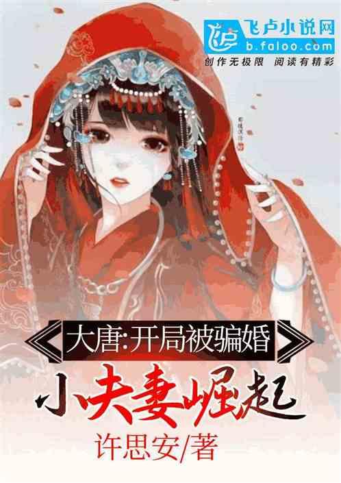 夫妻穿越大唐的