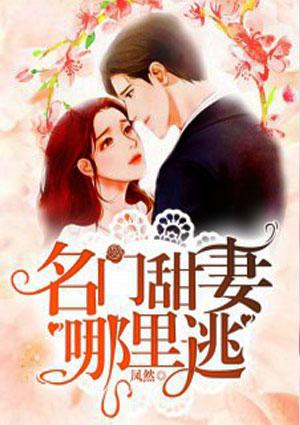 甜妻出自名门