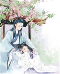 十三岁的太傅遇上七岁的公主