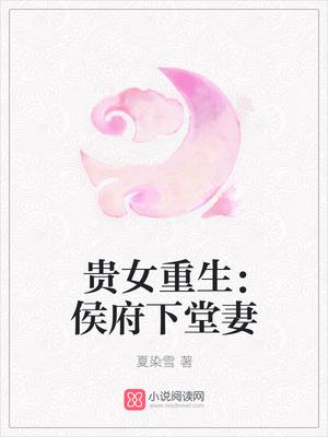 沈清辞洛衡虑洞房
