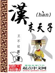 汉末天子 聚合中文网