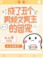 主角叫叶火火的