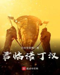 君临诺丁汉精校