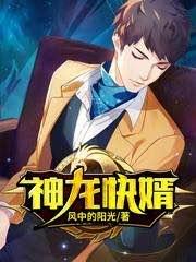 神龙快婿TXT