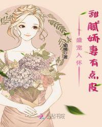盛宠甜妻全文阅读