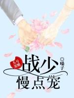 战少轻点宠全文阅读