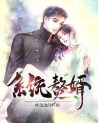 系统赘婿txt