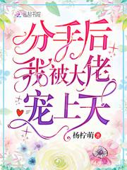 分手后我被大佬宠上天 半星免费阅读