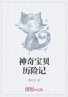 神奇宝贝历险记 百度