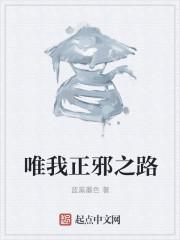 唯我正邪之路境界