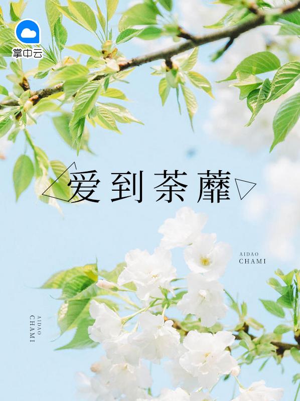 爱到荼蘼 小乔