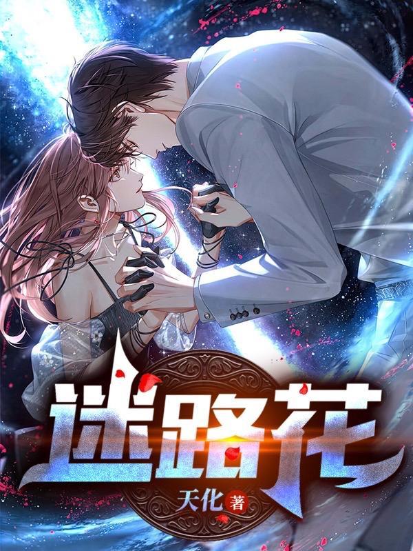 迷路花不行