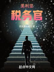 我在美利坚税务官