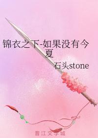 锦衣之下今夏多少岁